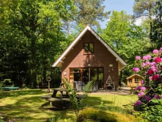 Holiday cottages The Netherlands