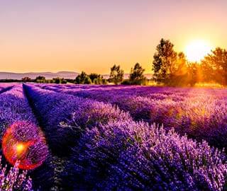 Vacation rentals France